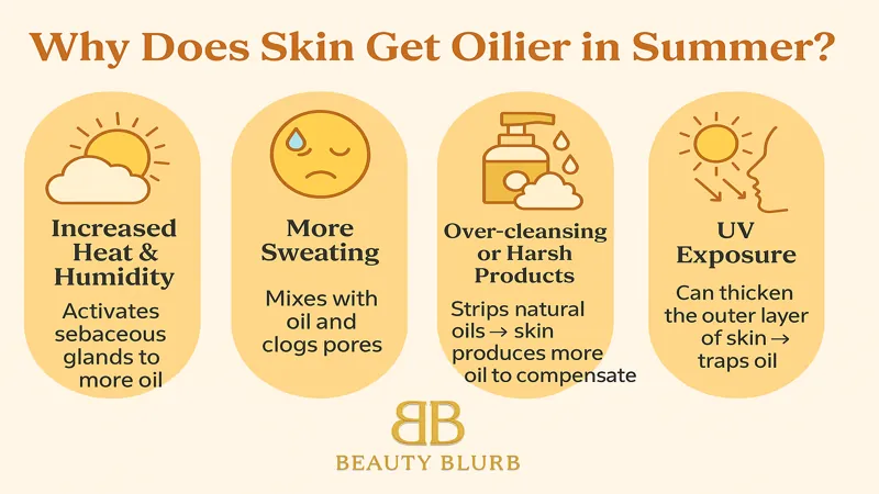 Why Does Skin Get Oilier in Summer