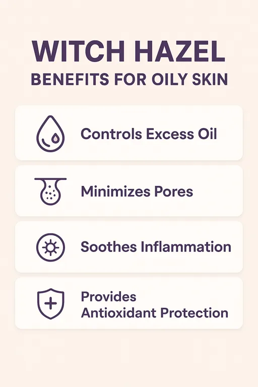 Is witch hazel good for oily skin